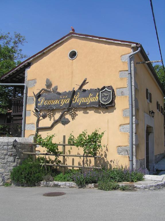 Guesthouse Domacija Sajna 세자나 외부 사진